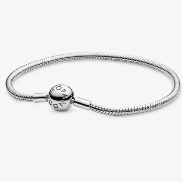 Pandora Moment Snake Chain Bracelet - Picture 3 of 10